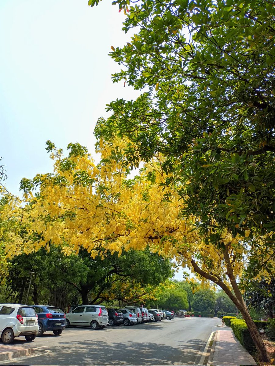 हर एक पेड़ से साये की आरज़ू न करो
जो धूप में  नहीं  रहते  वो छाँव क्या देंगे

#कृष्ण_बिहारी_नूर