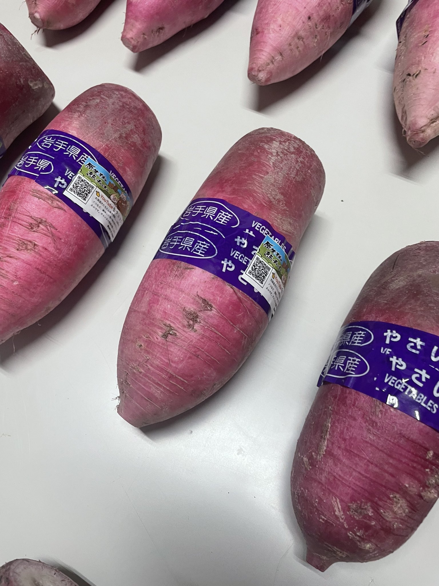 原生林の熊工房【公式】 – 岩手県岩泉町でここにしかないペット