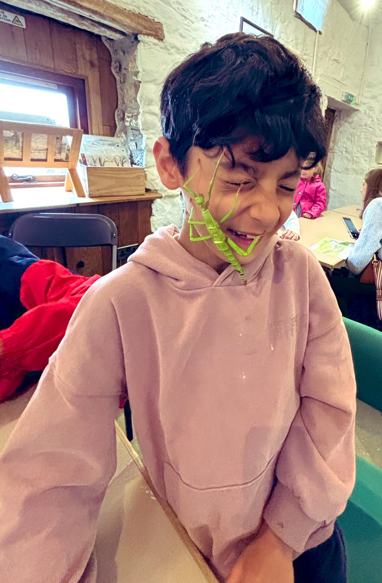 <a href="/thebugfarmUK/">Dr Beynon's Bug Farm</a> my eldest loving the meet the insects!