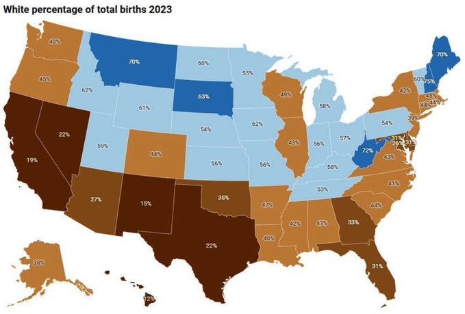 iamyesyouareno tweet media