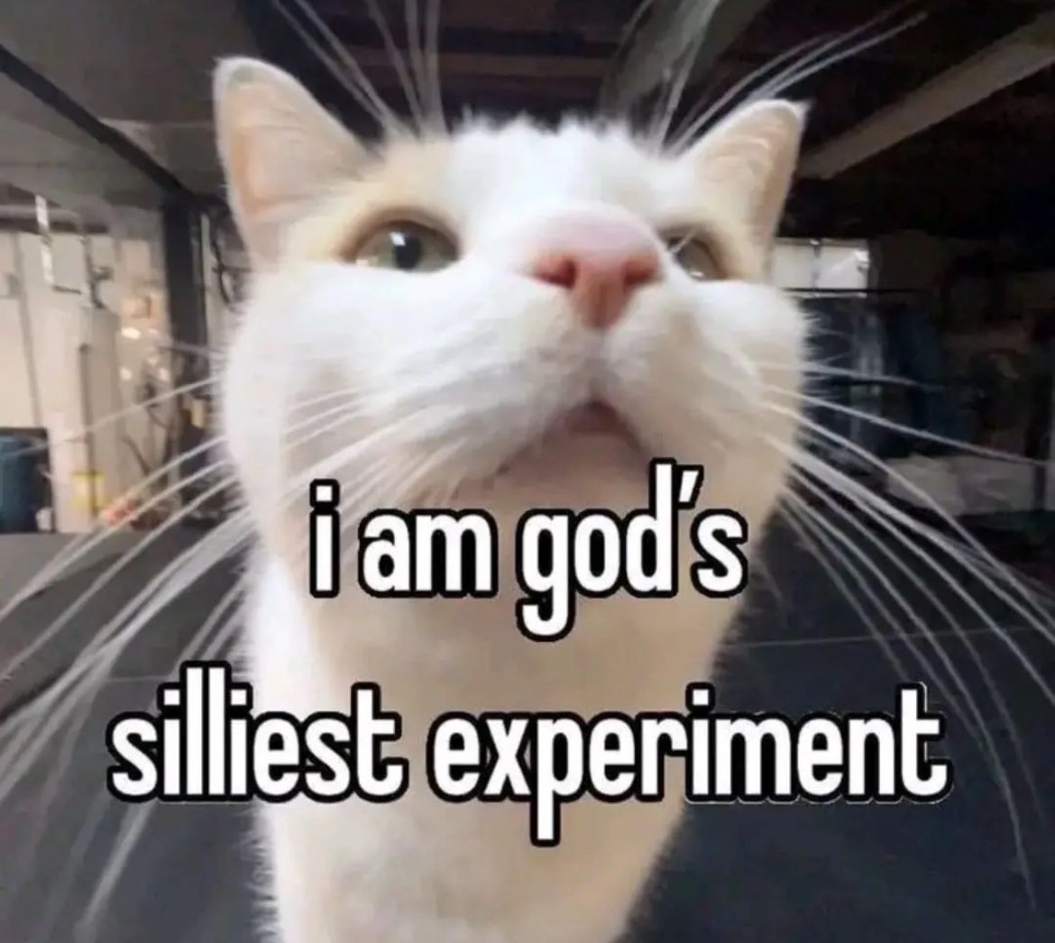 This is <a href="/pprxteam/">Paper Rex</a> tonight after locking in against GE