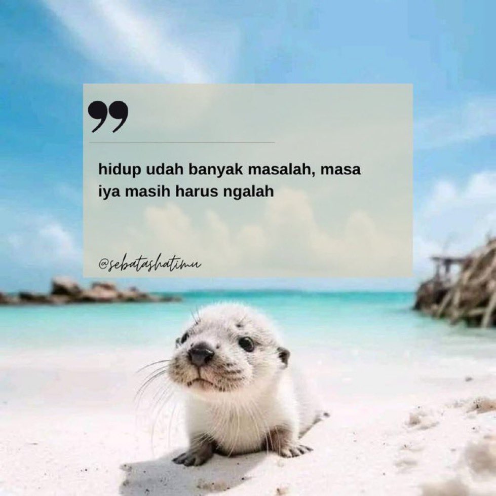 hidup udah banyak masalah, masa iya masih harus ngalah