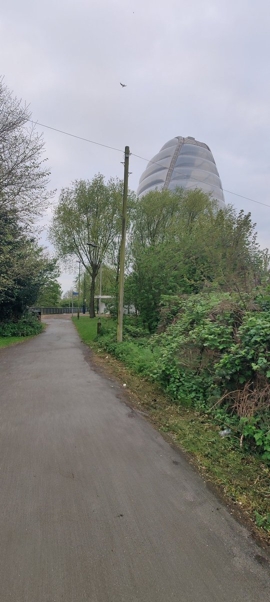Timus_'s tweet photo. Smashing goals early! My first 12km in the bag to kick off the weekend. https://t.co/v6qktVVkJc