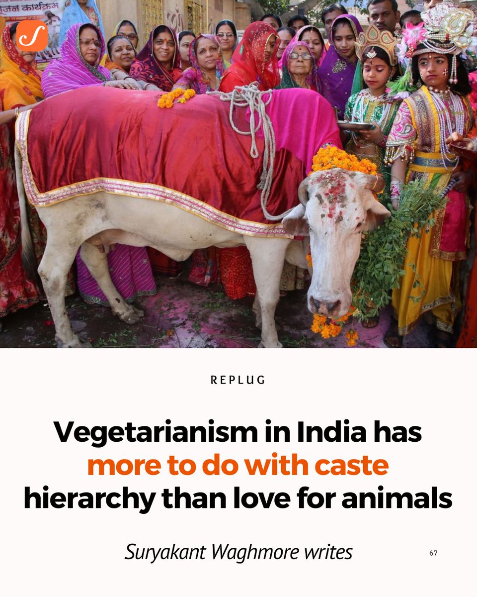 Scroll.in (@scroll_in) on Twitter photo Replug | Is our vegetarianism based on compassion for animals? If yes, why does this lead to disgust, social distance and even violence against humans?
scroll.in/article/833178…
<a href="/Suryakant_Waghm/">Suryakant Waghmore</a> writes. Replug | Is our vegetarianism based on compassion for animals? If yes, why does this lead to disgust, social distance and even violence against humans?
scroll.in/article/833178…
<a href="/Suryakant_Waghm/">Suryakant Waghmore</a> writes.