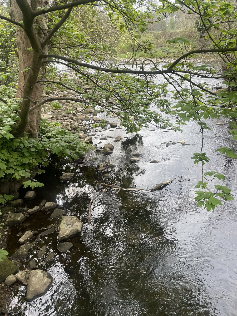 MsReh35's tweet photo. Bingley, West Yorkshire 😍 https://t.co/z3Rr2eacg9