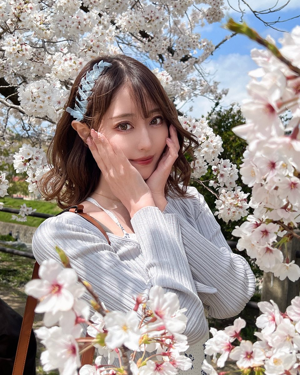 てっち@いる tweet media