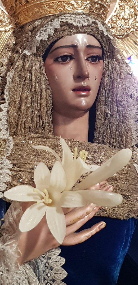 Hdad_Amor's tweet image. CULTOS | Mañana, Domingo de Resurrección, celebraremos en la Colegial a las 12.30 horas Santa Misa en conmemoración de la Resurrección de Ntro. Señor Jesucristo. La eucaristía estará organizada por nuestra Archicofradía y participan todas las hermandades radicadas en el Salvador.