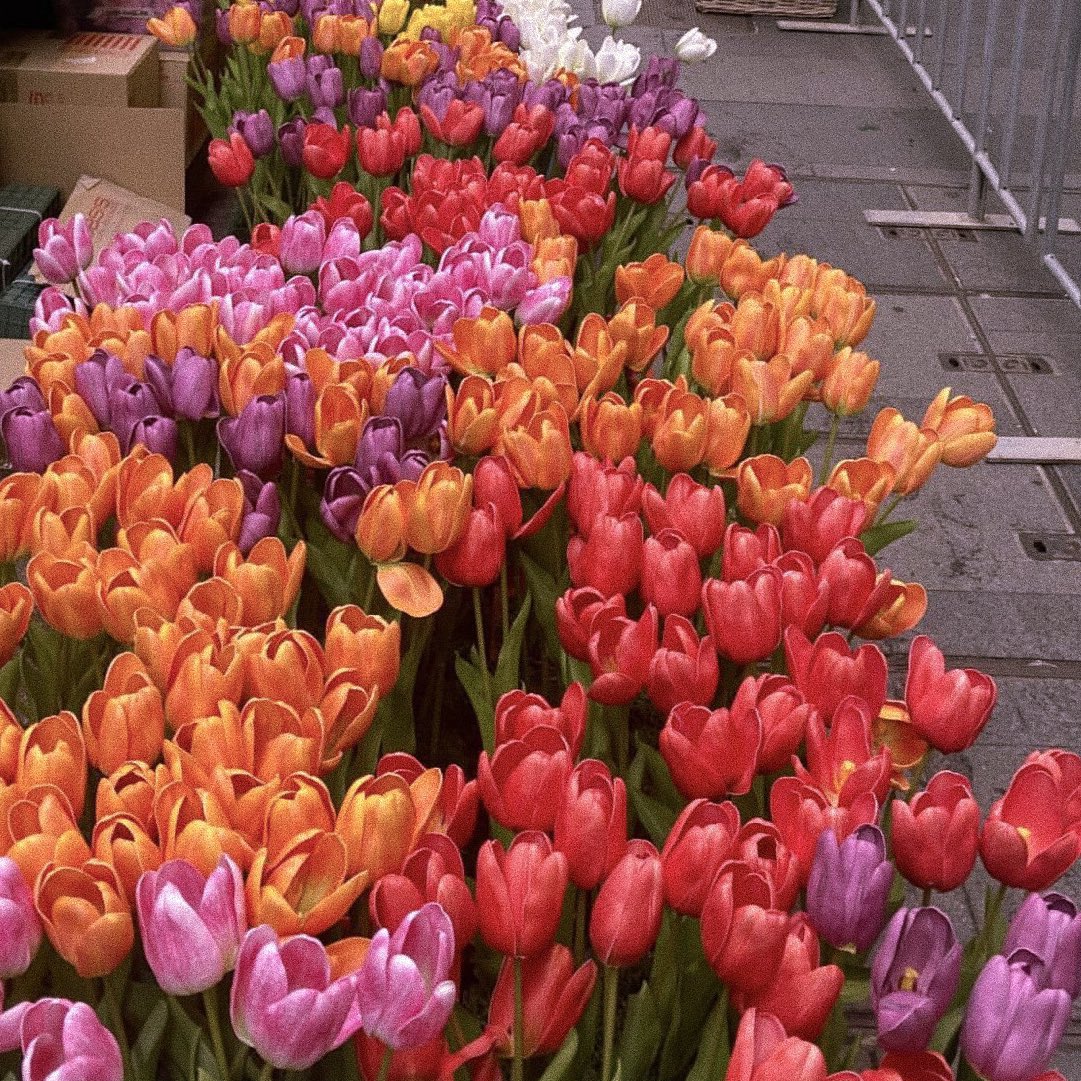 happy easter ୨୧♡🐣💐