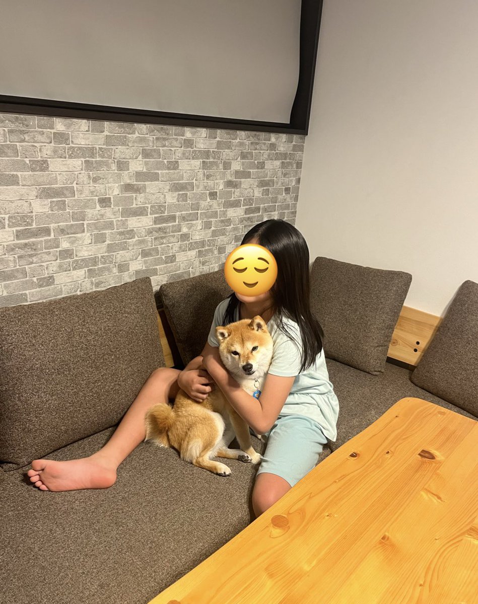 coco_koha_kote's tweet photo. つっかまえたぁ〜( ⊃´･-･)⊃ｷﾞｭｰ
 #柴犬のいる幸せ https://t.co/4id4PQDkk4