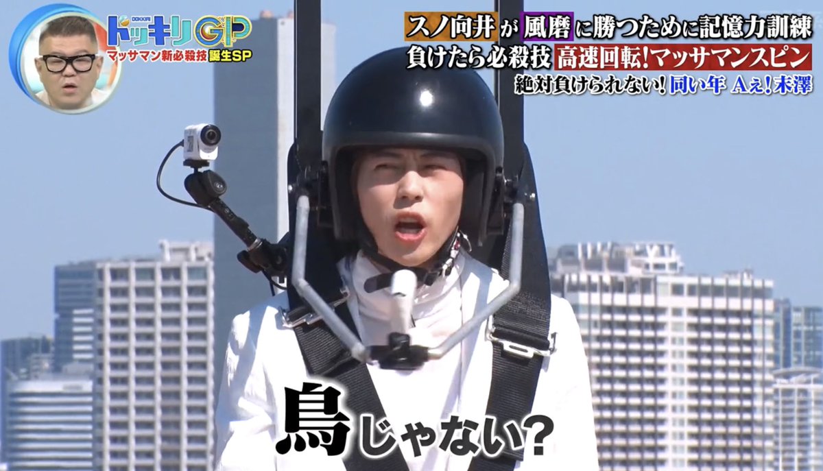 fj__28__tk's tweet photo. 向井康二）フェレットって犬？
末澤誠也）鳥じゃない？

あほすぎてしぬ元気出たwwwwwwwwww

#ドッキリGP https://t.co/qyLtgh0UO9
