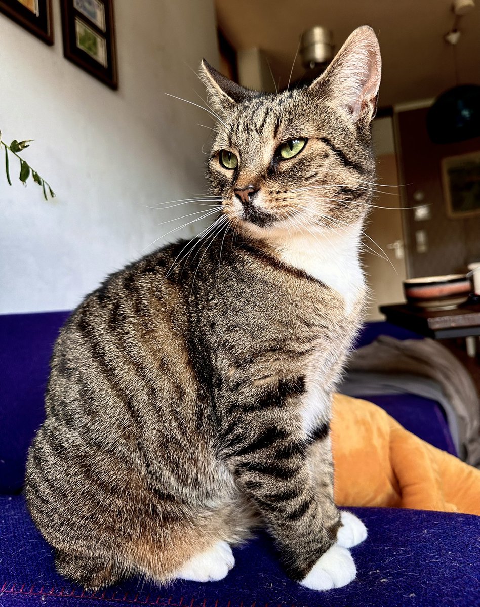 Mevrouw de Vries wenst jullie allemaal een

✨zinderende zaterdagmiddag✨