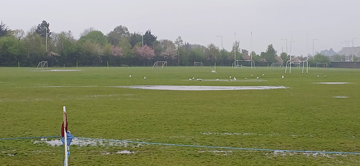 SeanWillo72's tweet photo. @halfpacehurling @OlafSocialHurl Mother Nature didn't give the lads a chance this year. 😭 https://t.co/lkbATGkvgi