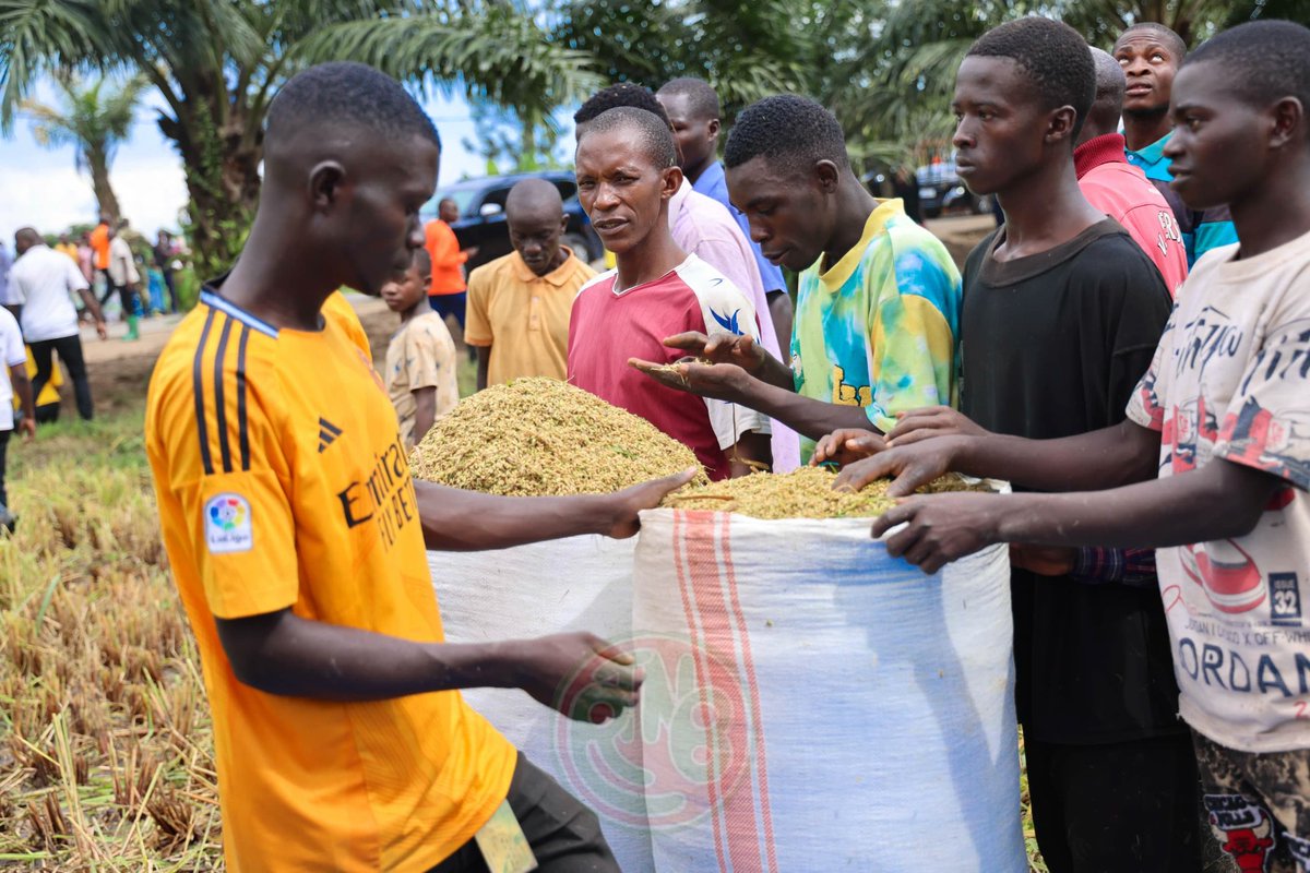 RTNBurundi's tweet photo. Ce samedi 19 avril 2025, le Président de la République du #Burundi @GeneralNeva procède à la récolte de son champ de riz de 7,5 ha, variété de riz hybride 207, à #Gifúgwe, zone #Butanuka, commune #Mpanda en @BubanzaProvince.  #Agriculture #Burundi https://t.co/tbWV12Dd1x