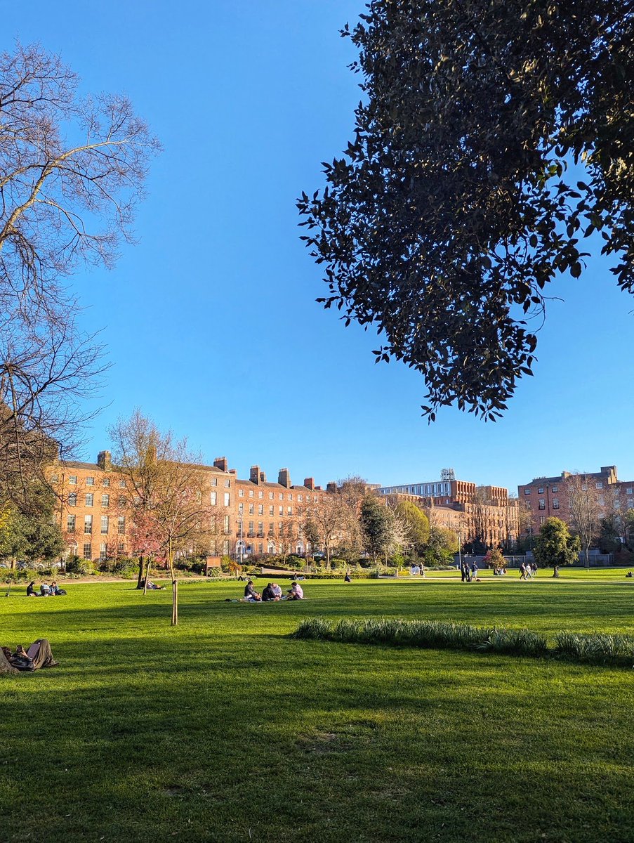 Samuel Hughes tweet media