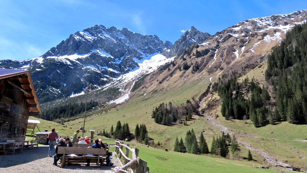 Hans ter braak tweet media