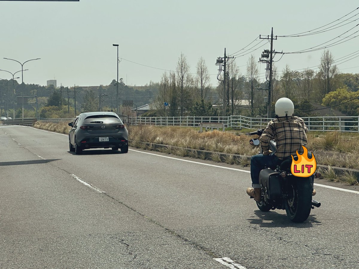 215ksk99's tweet photo. 今週の植物ーリング🏍🌱

連日偶然にも仲間たちに遭遇した良い日になりました‼️
さすがに持って帰れず今日車で引き取り行ってきたグラキリス👏
今日からよろしくお願いします‼️

GWは全滅なのでGW明けにツーリング考えてるので皆さんよろしくお願いします‼️ https://t.co/aOf32G4yiY