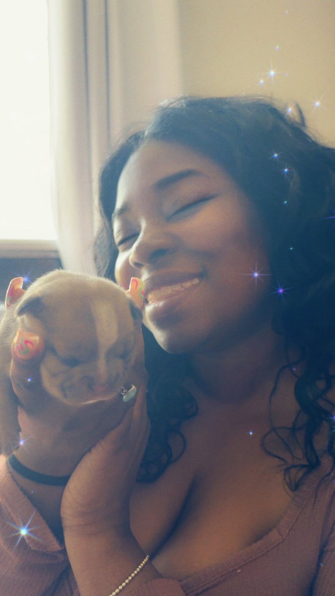 Orahsimplicity's tweet photo. New French bulldog pups have arrived DM for information . https://t.co/x06mLHWXfG