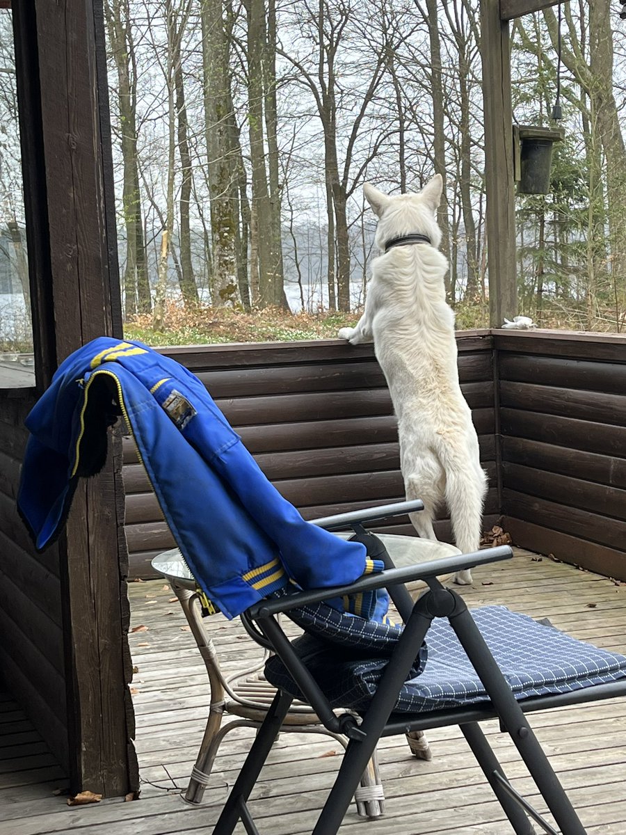 SkoogChristian's tweet photo. Mycket spännande som händer https://t.co/MKQAGc7Csj
