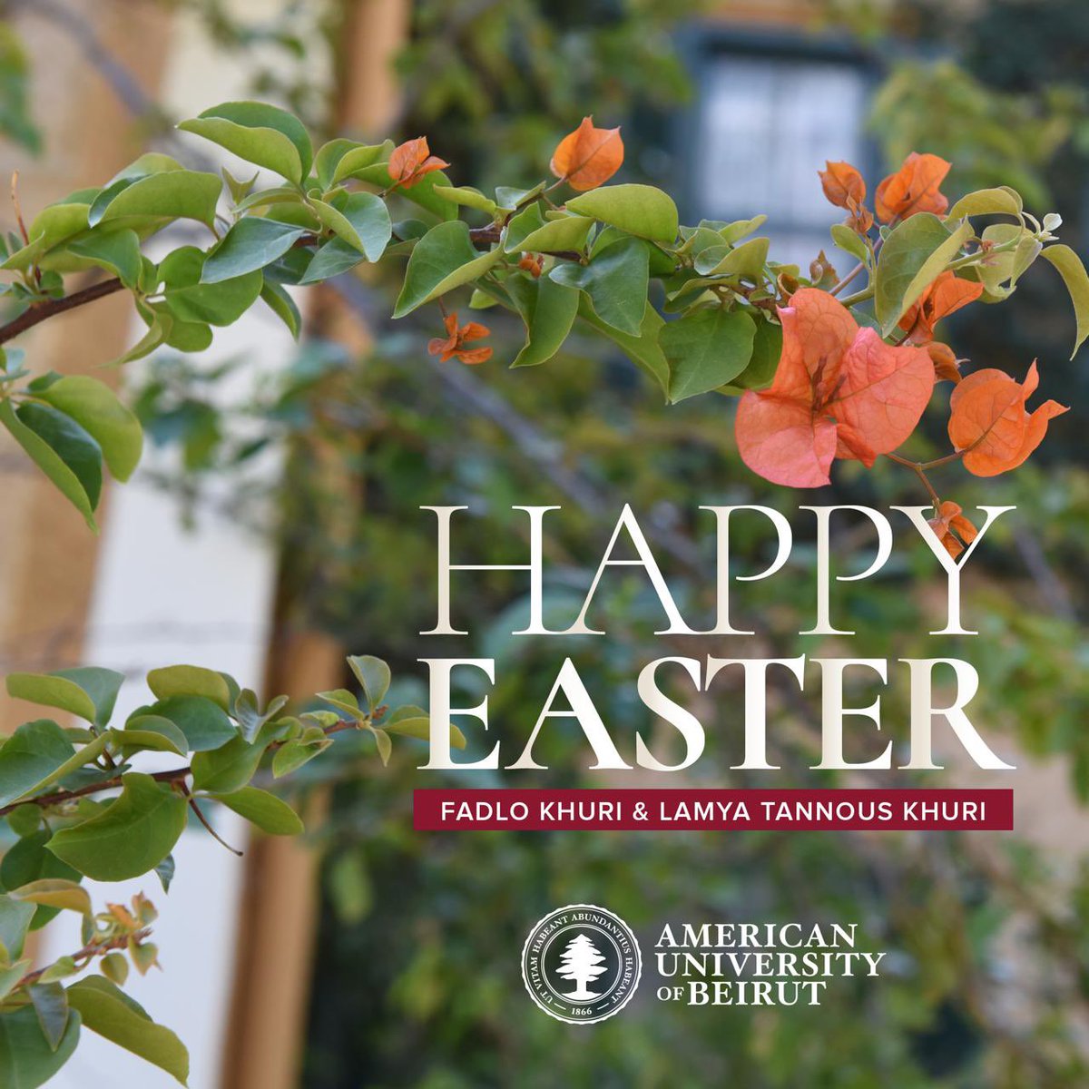 Happy Easter to all from Lamya and me. May the Holiest week in Christianity bring peace and tranquility to Lebanon, the region and the world.