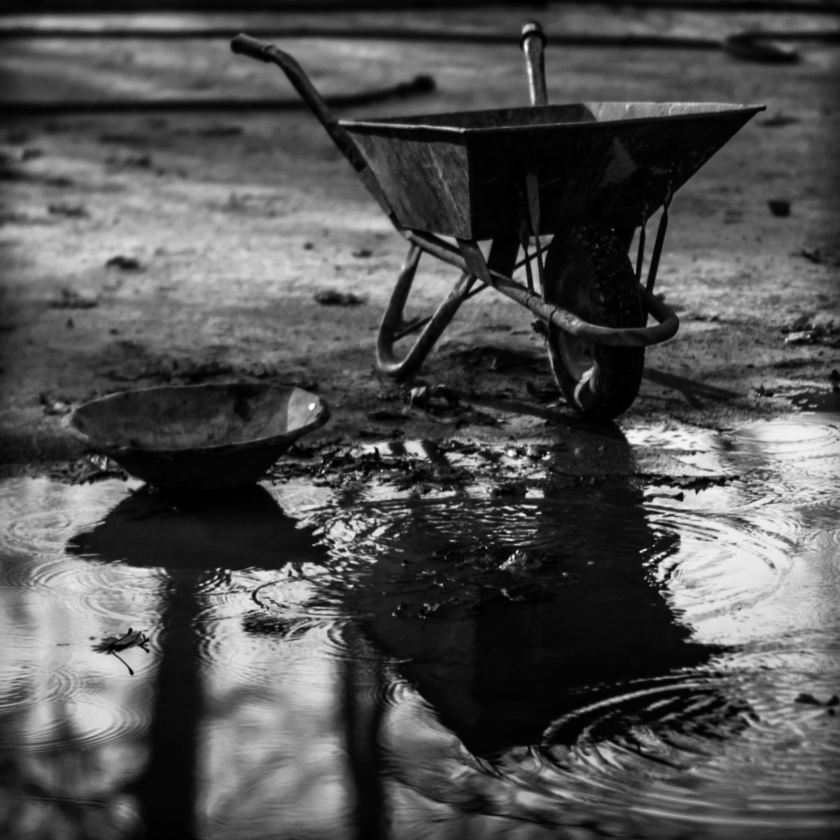 🔥 SOLD 🔥
" Labor Rain "
1/1 Edition
1.0 #xtz #tezos
purchase by <a href="/alterain1719/">氷霧 涼々</a>
Check out My Other NFTs
objkt.com
objkt.com/users/tz1fE613…