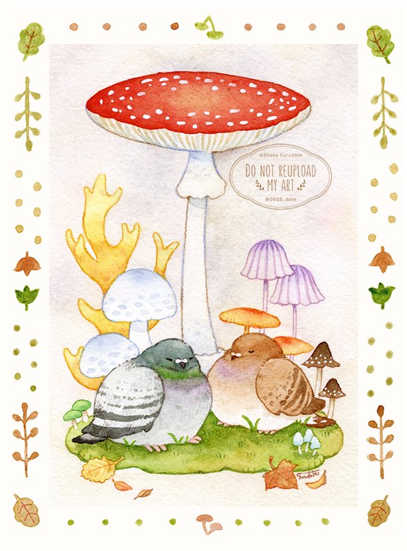 もこもこ鳩ちゃん🍄