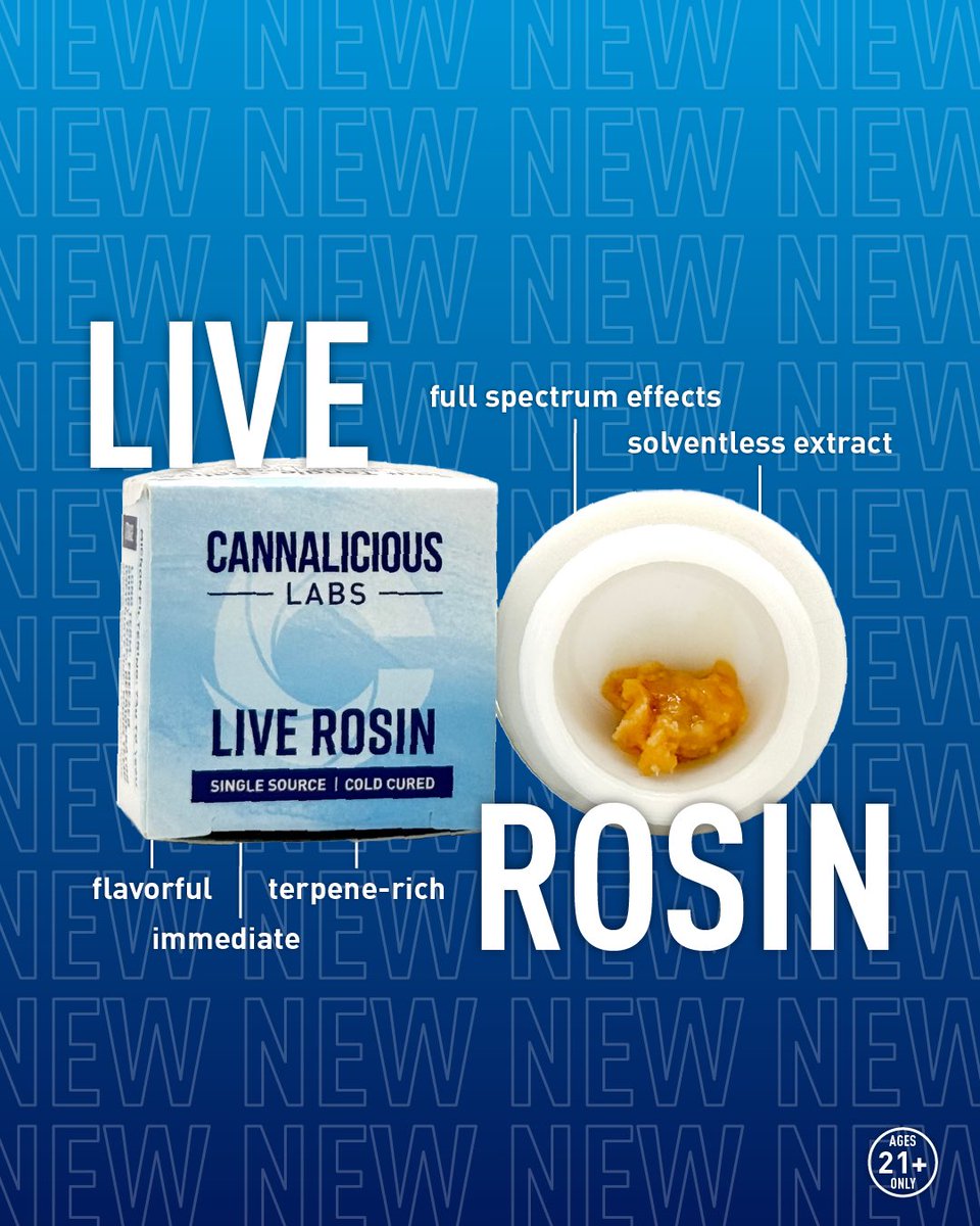 CannaliciousMI's tweet photo. NEW Live Rosin 🍯 A premium, solventless extract celebrated for its purity, flavor profile, and full spectrum effects. It’s produced from fresh frozen material for a terpene-rich, full-bodied extract in its purest, most flavorful form. 

🍨 Deep Fried Ice Cream - Hybrid 🍨
• Effects: Energetic, Giggly, Focused, Relaxing, Euphoric
• Flavors: Sweet, Earthy, Minty, Vanilla, Tar
• Terps: Caryophyllene, Limonene, Humulene, Valencene

🍊Sour Tangie - Sativa🍊
• Effects: Motivate, Energetic, Cerebral, Uplifting, Creative
• Flavors: Sour, Citrus, Diesel
• Terps: Limonene, Caryophyllene, Linalool, Humulene

💣 Papaya Bomb - Indica 💣
• Effects: Creative, Energetic, Relaxed
• Flavors: Fruity, pine, Carmel, Skunky, Berry
• Terps: Caryophyllene, Limonene, Myrcene, Valencen

For educational purposes only. Ages 21+ only.