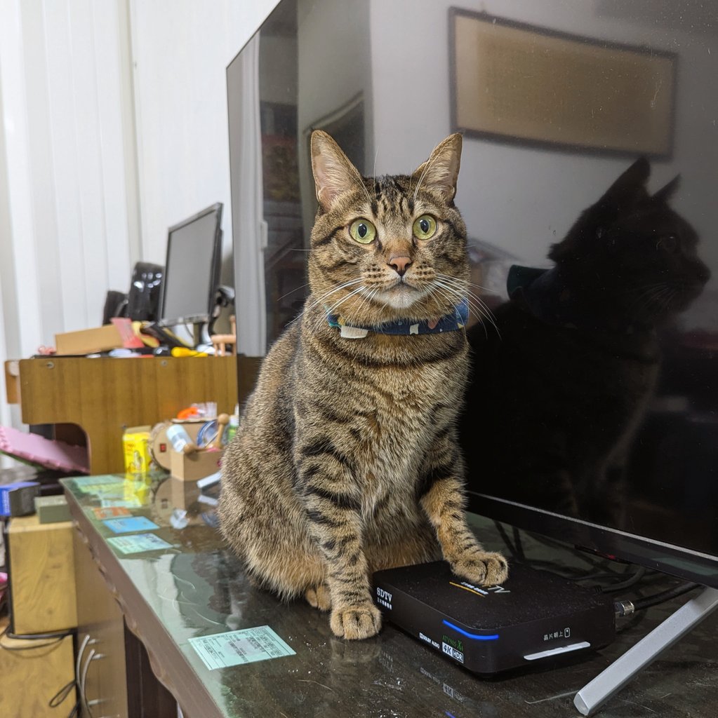 從現在開始 這台不知道是什麼的東西就是我的了