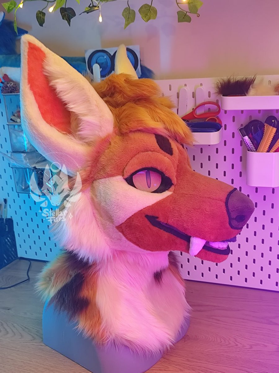 Completed fursuit comm : San Rayncloud