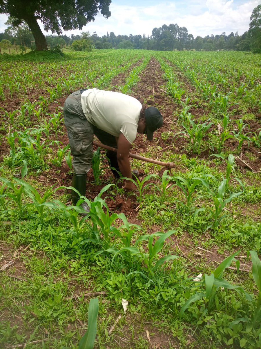 Nakhumicha S. Wafula E.G.H tweet media