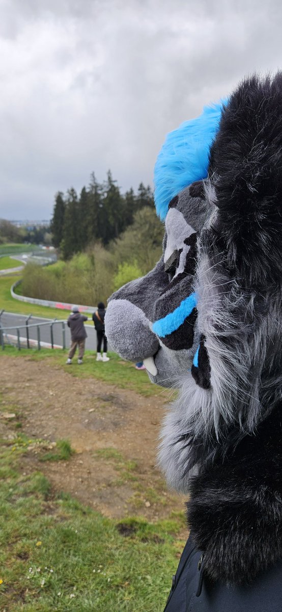 Had a awesome day with some good friends at the #Nuerburgring on #Karfreitag yesterday #traveltiger Meow!🐯

📸: <a href="/HanoukWilddog/">Hanouk</a>
