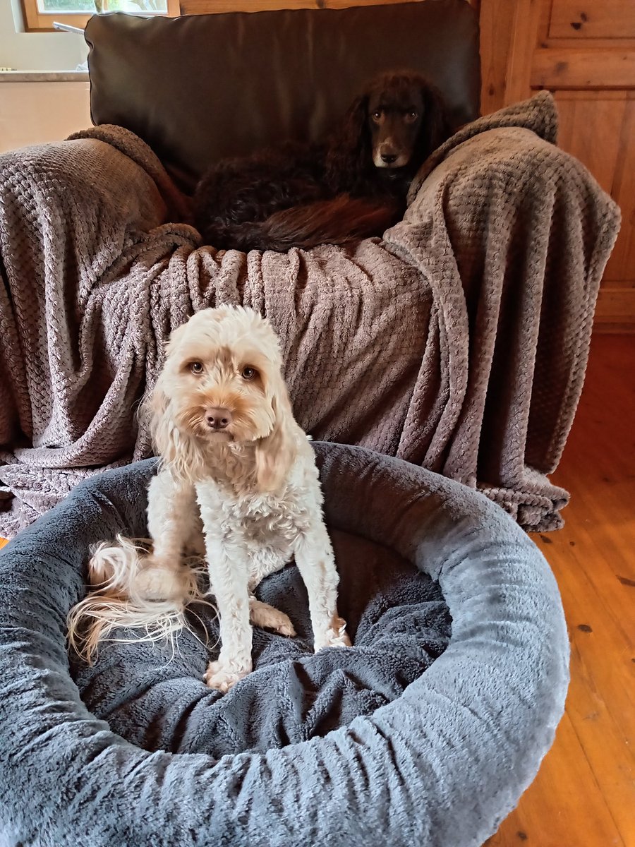 We are on holiday at a lodge park in Herefordshire, England. 1) Our lodge for the week. 2) Thomas is in the lodge jail. 3) Spot Bert