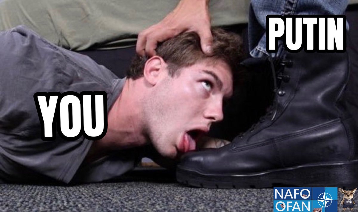 hotsnow Fella 🏴‍☠️🇫🇮🇺🇦🇪🇪🇨🇦🦈 tweet media