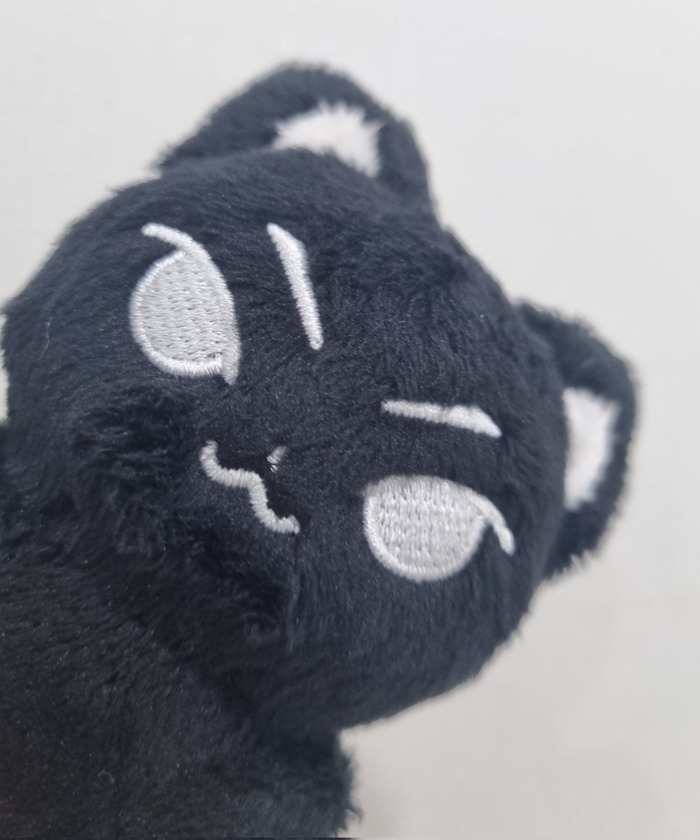 깜한이 도착 🐈‍⬛ <a href="/kkamhani/">깜한이 (배송중•••)</a> 🫶