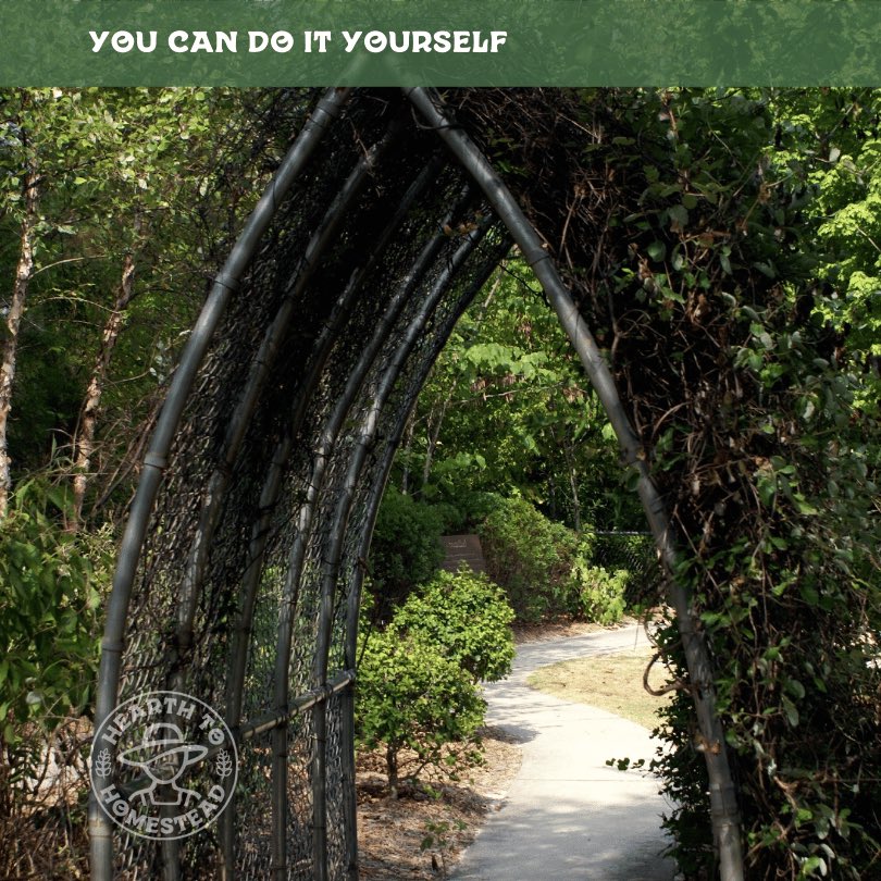 🔗 Chain Link Trellis: Repurpose old chain link sections as a trellis for climbing plants. It’s sturdy, functional, and easy to... #homesteading #homesteadingcanada #farming #farm #countryliving #gardening #homesteadliving #smallfarm #farmher #garden #farmstead #backyardhomestead