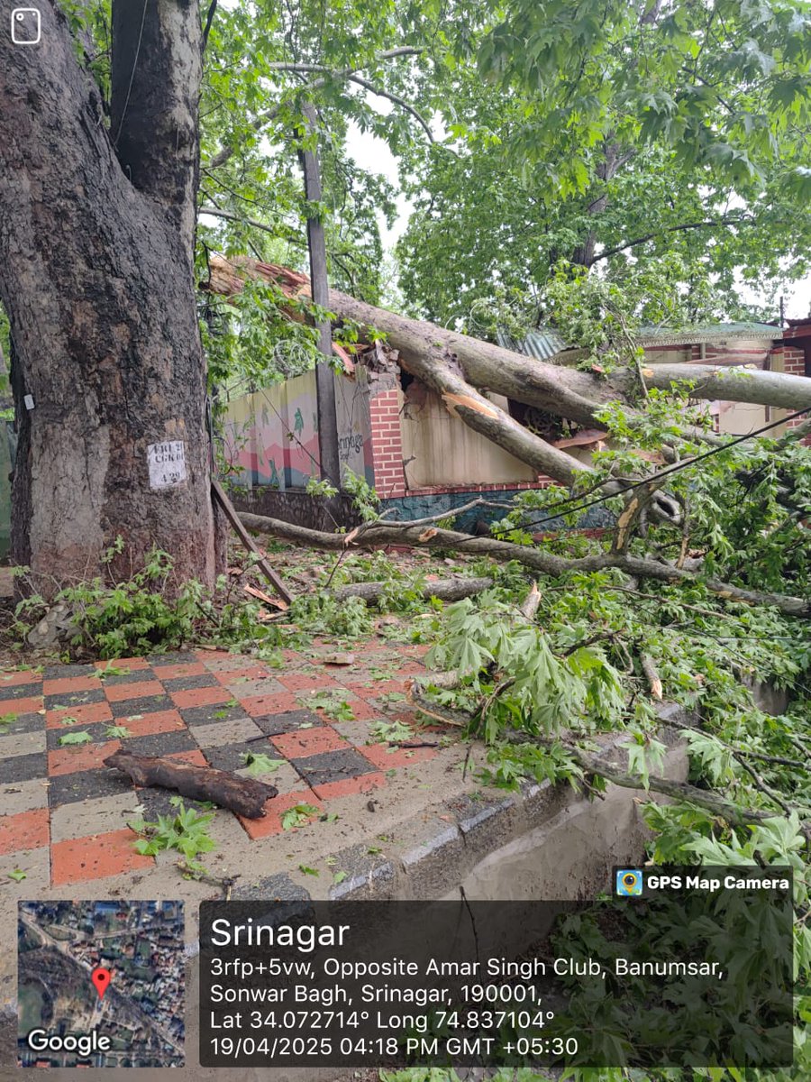 Electric Subdivision Sheikhbagh tweet media