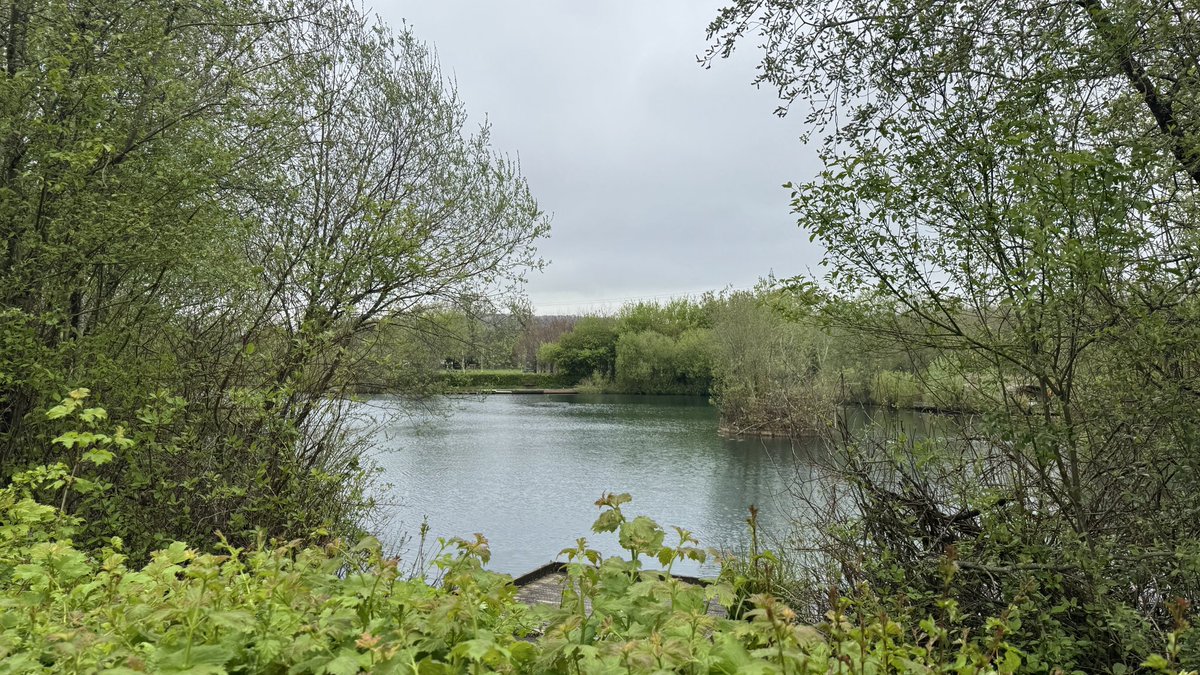 DHSB_MrScott's tweet image. Enjoying a leisurely walk around Filham Park whilst listening to @adventofcomp podcasts #GCSEComputerScience #J277 #ALevelComputerScience #H446 💻 → #ComputerScience @dhsboys 🎧