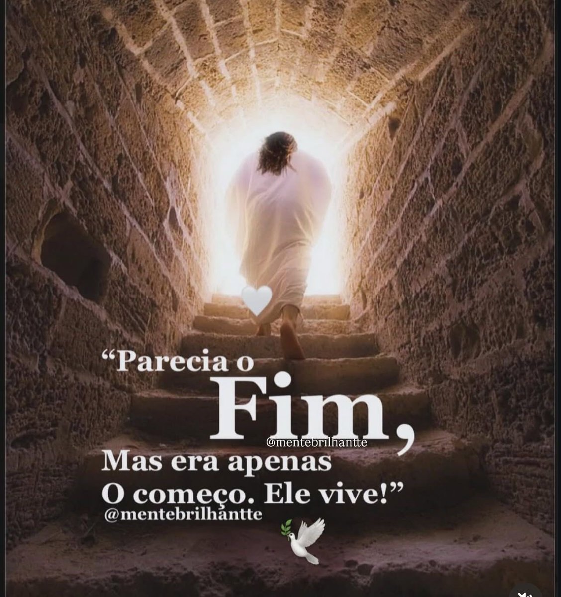 Julio Schneider 🇧🇷🇺🇸 (@juliovschneider) on Twitter photo 