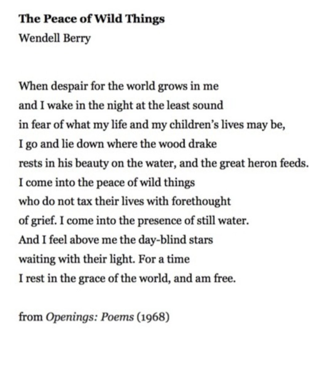 At times like these, we need poems like this.