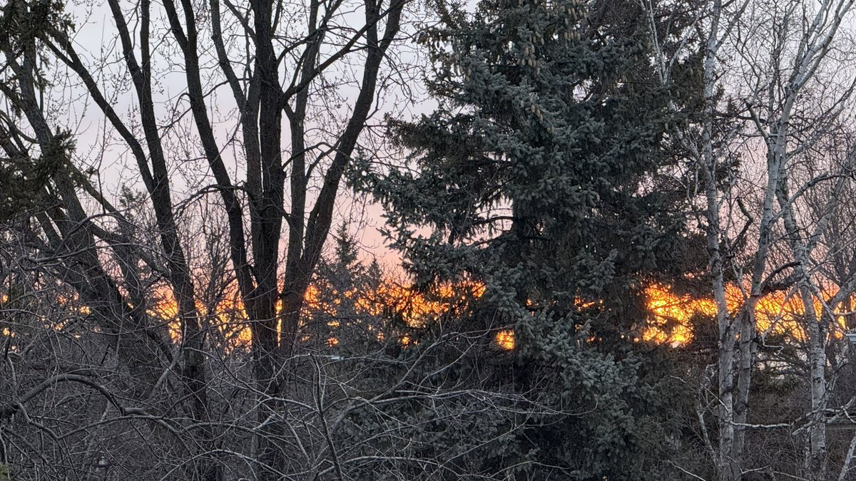 April 19, 2025 sunrise. ☀️