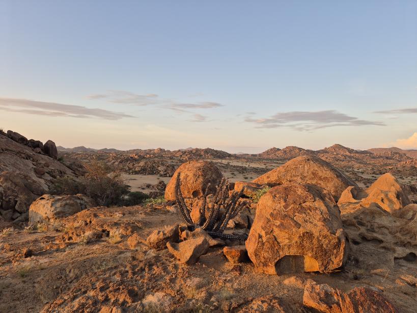 LejarretaMa's tweet photo. Paisajes espectaculares en la provincia de #Namibe en el Sur de #Angola en el desierto; Parque Nacional de Iona; las costas; las estepas y la ciudad de #Tombwa. Impresiona la inmensidad y la tranquilidad. Merece la pena conocerse. https://t.co/Ow8ny14ZHV