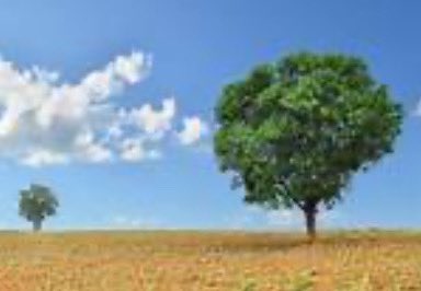 AreionLLC's tweet photo. When it’s impossible to go on as you have, go on as you never have before. https://t.co/V5dSD72eQh