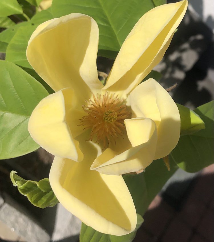 🌸 Frohe Ostern! Die Natur zeigt uns: Es geht weiter. Still. Kraftvoll. Und schön. Wenn der Wunsch nach Orientierung/ einem nützlichen Gespräch auftaucht – melden Sie sich gern. Manche Lösungen brauchen Zeit, innere Führung und frische Luft. Und jemanden, der wirklich hinhört …