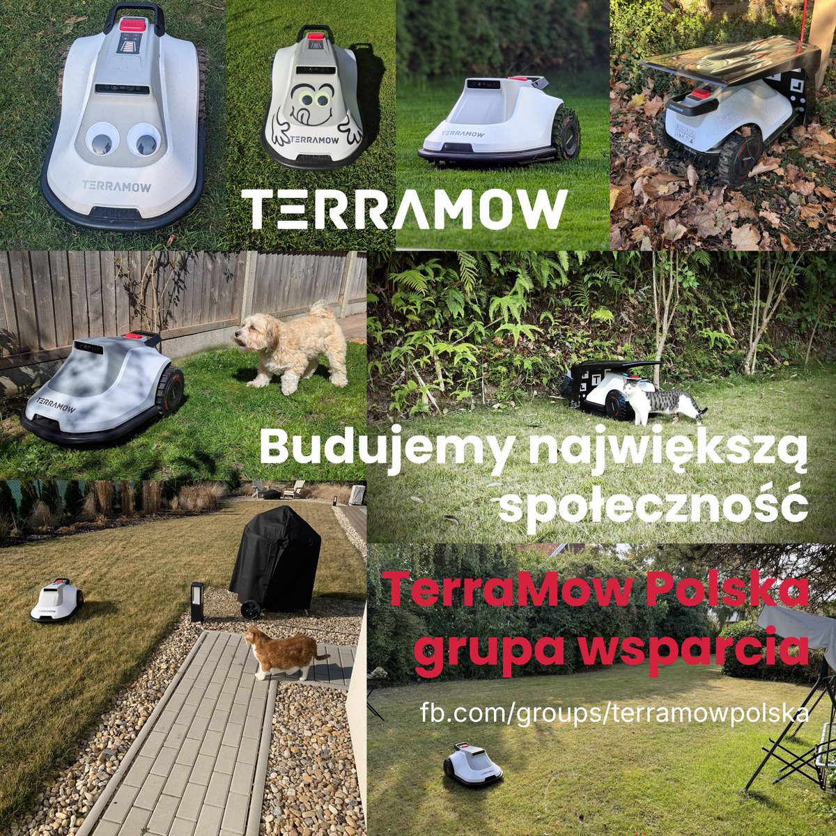 Blablablacy63's tweet photo. 🌿 Dołącz do polskiej grupy użytkowników TerraMow 🇵🇱 na Facebooku! 🌿
👉 https://t.co/eC65FhwKHT

#TerraMow #TerraMowPolska #Teruś #robotkoszący #społecznośćTerraMow #forumterramow #grupaterramow #grupanafacebooku #wsparcie #forum #wymianadoświadczeń #wsparcie #wymianadoświadczeń https://t.co/28uDarYgmq