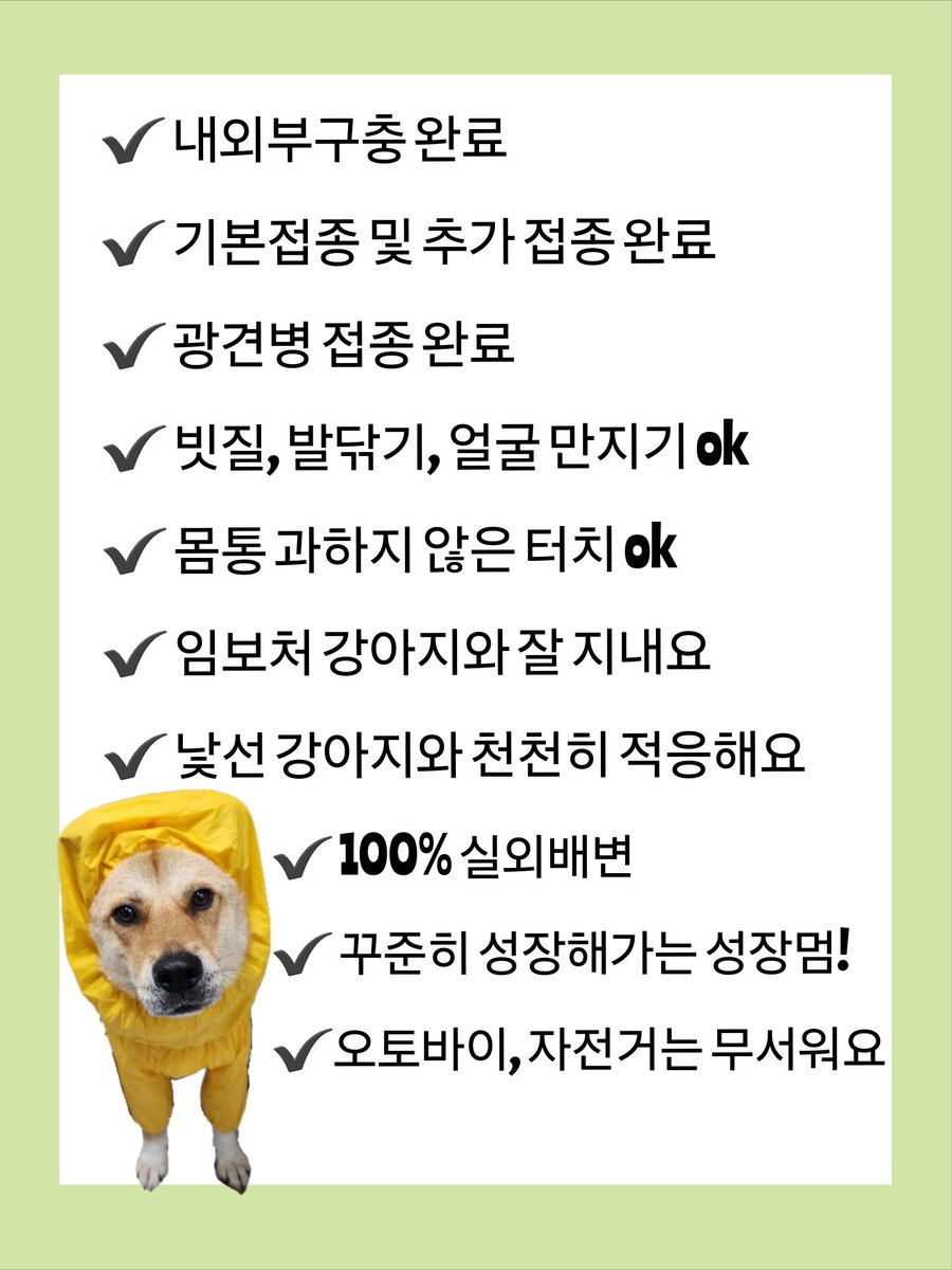 milolucky5's tweet photo. 지금은 임보가 종료되어 쉼터로 돌아간 희망이도
꾸준한 관심이 이어져서
언젠가 좋은 가족과 인연이 되면 좋겠어요

다시 입양 홍보를 도와줄 임보 가족도 찾고 있어요!
더위타는 희망이
여름 동안만이라도 시원한 가정에서 지낼 수 있게 해주세요

https://t.co/ODLtMvQL2f https://t.co/nTRfmtKcLn