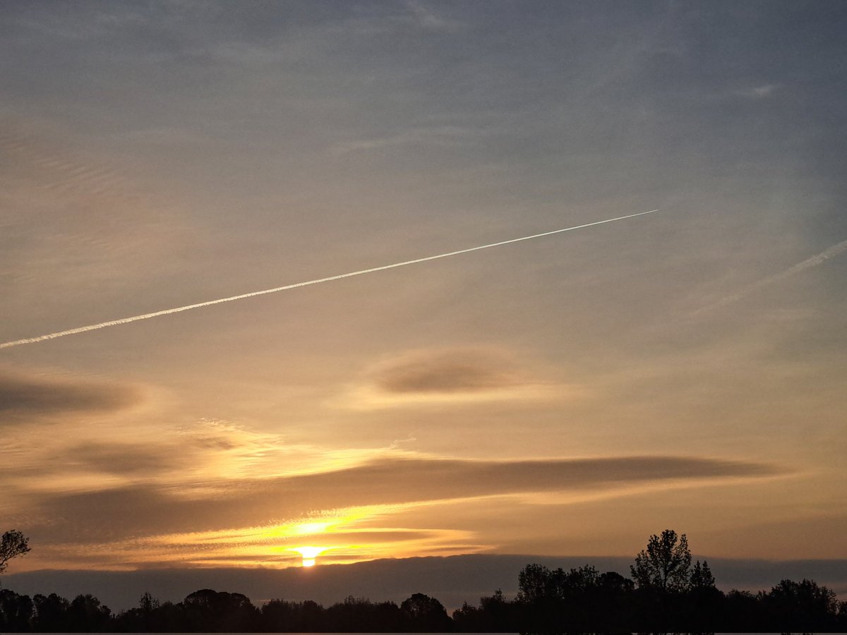 Nathan Woodard tweet media