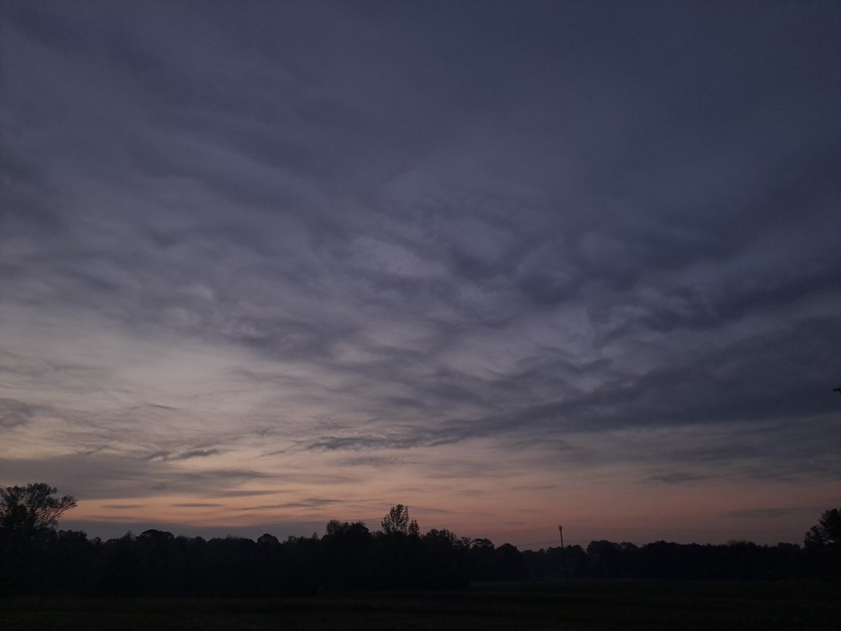 Nathan Woodard tweet media