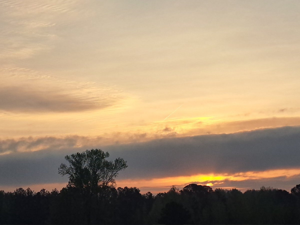 Nathan Woodard tweet media