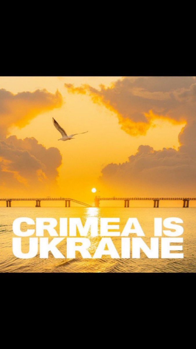 hotsnow Fella 🏴‍☠️🇫🇮🇺🇦🇪🇪🇨🇦🦈 tweet media