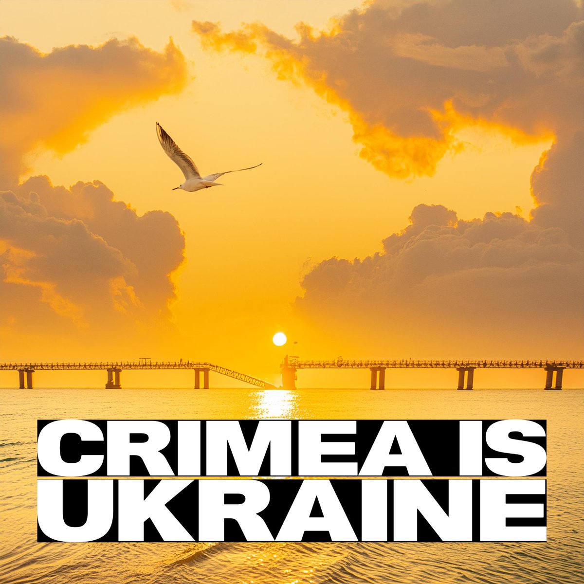 hotsnow Fella 🏴‍☠️🇫🇮🇺🇦🇪🇪🇨🇦🦈 tweet media