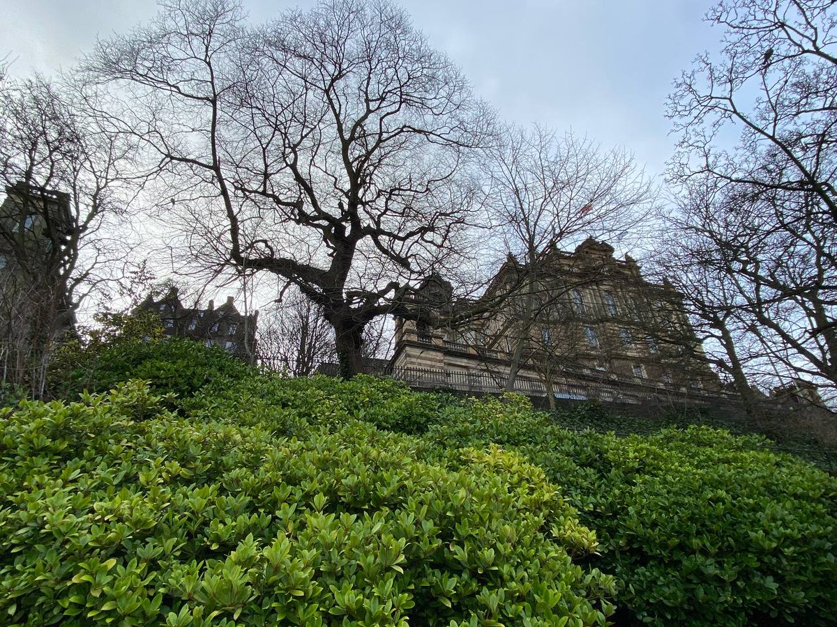 Afafboud's tweet photo. Wandering through the magic of Edinburgh—history in every stone and stories in the air. 🤍 https://t.co/GHt8fFUrJA